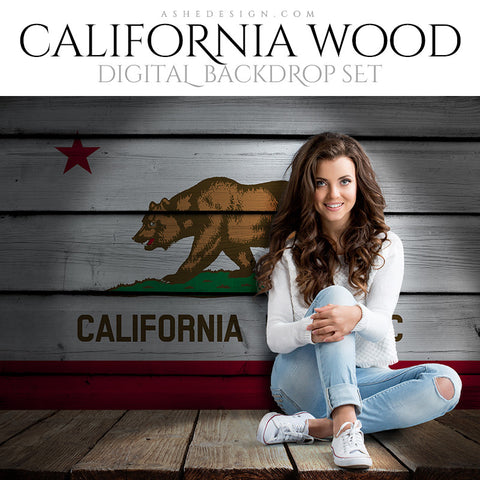 Digital Props - 16x20 Backdrops - California State Flags - Wood