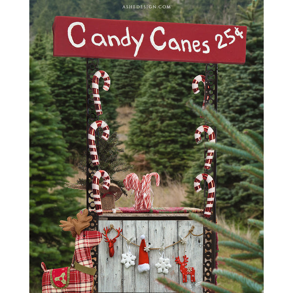 Digital Props 8x10 Backdrop Set - Candy Cane Stand