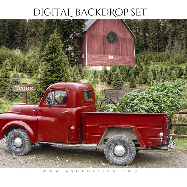 Digital Props 16x20 Backdrop Set - Country Road Christmas