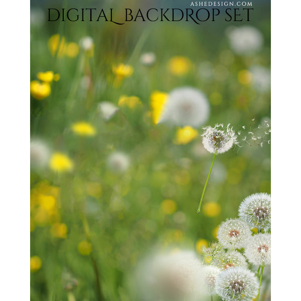 Ashe Design Digital Backdrop - Dandelions
