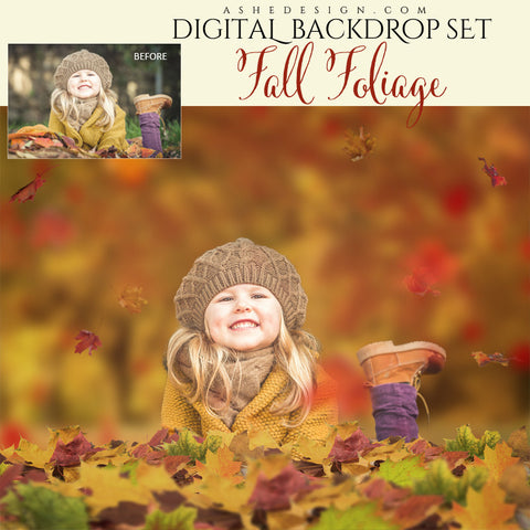 Digital Props 16x20 Backdrop Set - Fall Foliage