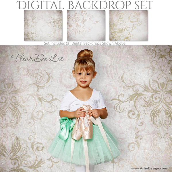 Ashe Design 16x20 Digital Backdrop Set - Fleur De Lis AFTER
