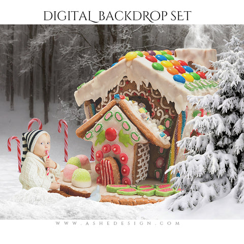 Digital Props 16x20 Backdrop Set - Gingerbread House