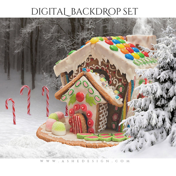 Digital Props 16x20 Backdrop Set - Gingerbread House