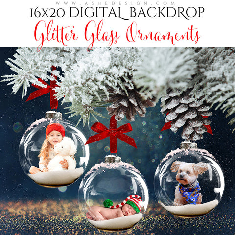 Digital Props 16x20 Backdrop Set - Glitter Glass Ornaments