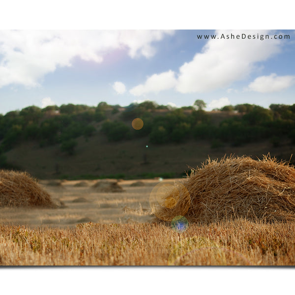 Ashe Design 16x20 Digital Backdrop Set - Hay Field Before