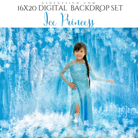 Digital Props 16x20 Backdrop Set - Ice Princess