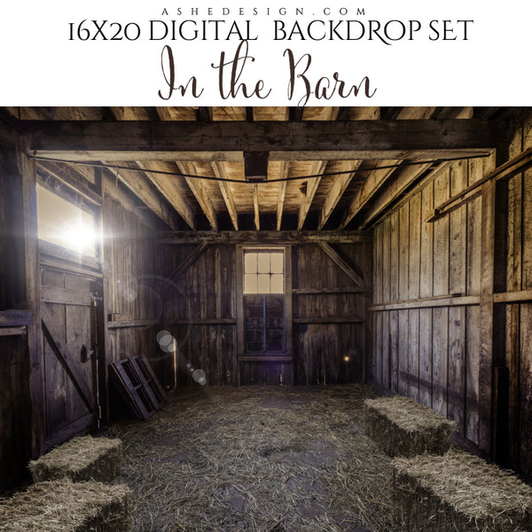 Digital Props 16x20 Backdrop Set - In The Barn