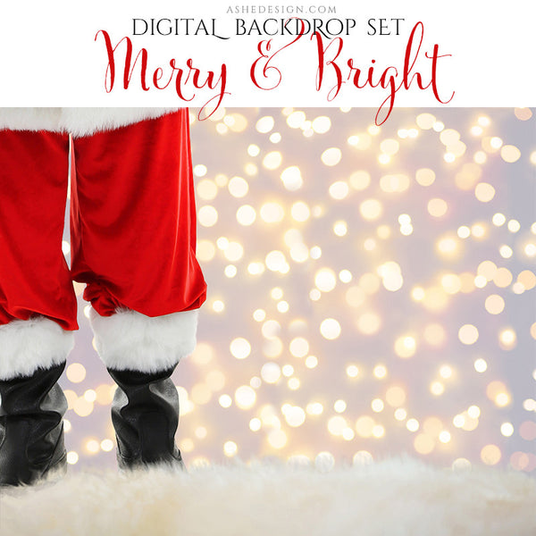 Digital Props 8x10 Backdrop Set - Merry and Bright