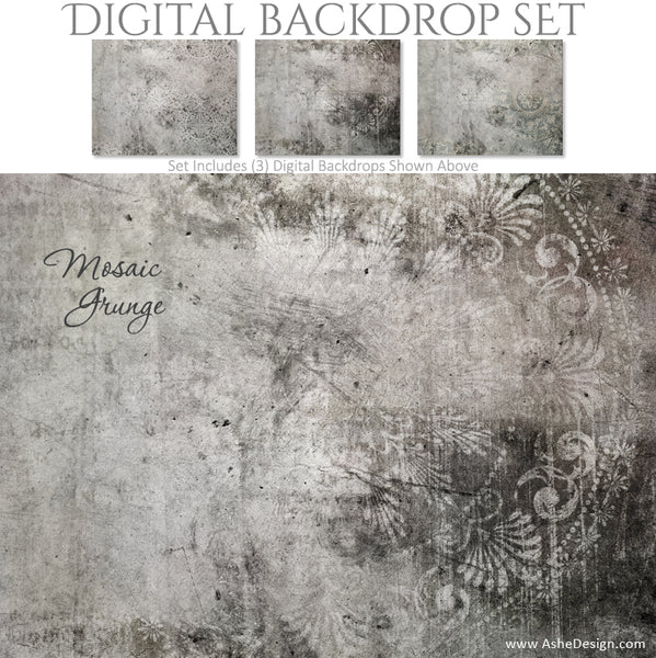 Ashe Design 16x20 Digital Backdrop Set - Mosaic Grunge BEFORE
