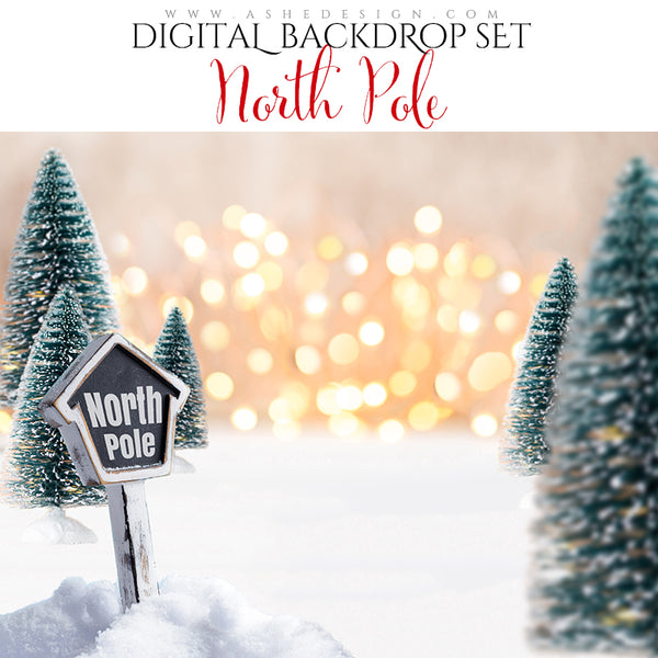 Digital Props 16x20 Backdrop Set - North Pole
