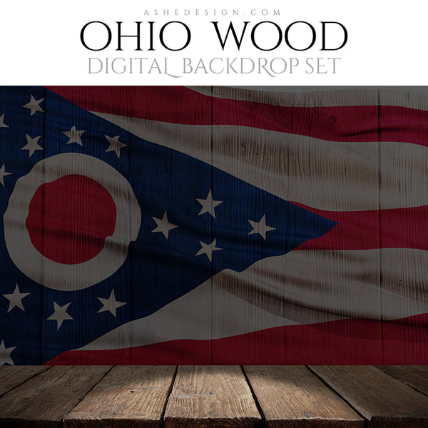 Digital Props - 16x20 Backdrops - Ohio State Flags - Wood