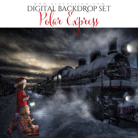 Digital Props 16x20 Backdrop Set - Polar Express