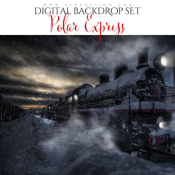 Digital Props 16x20 Backdrop Set - Polar Express