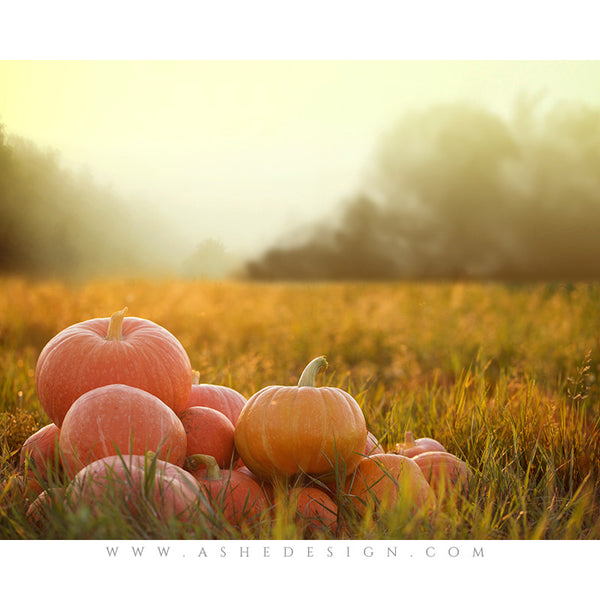 Digital Props 16x20 Backdrop Set - Pumpkin Haze