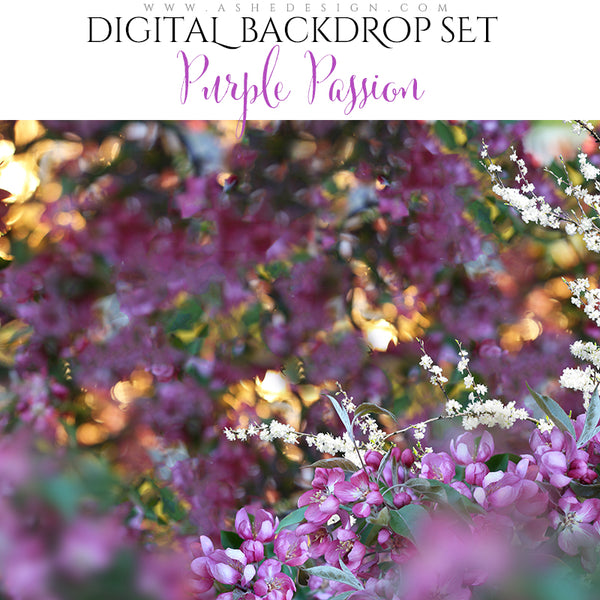 Ashe Design 16x20 Digital Backdrop Set - Purple Passion BEFORE