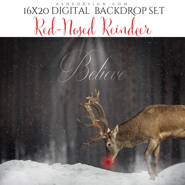 Digital Props 16x20 Backdrop Set - Red-Nosed Reindeer