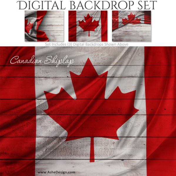 Ashe Design 16x20 Digital Backdrop Set - Canadian Shiplap BEFORE