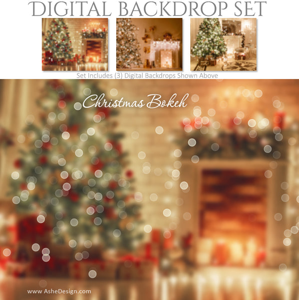 Ashe Design 16x20 Digital Backdrop Set - Christmas Bokeh BEFORE