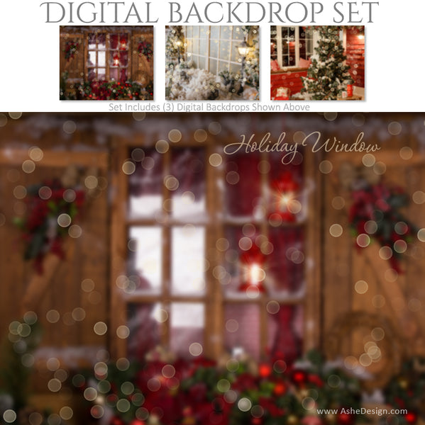 Ashe Design 16x20 Digital Backdrop Set - Holiday Window BEFORE
