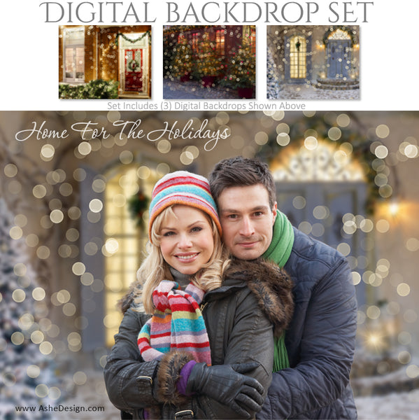 Ashe Design 16x20 Digital Backdrop Set - Home For The Holidays AFTER