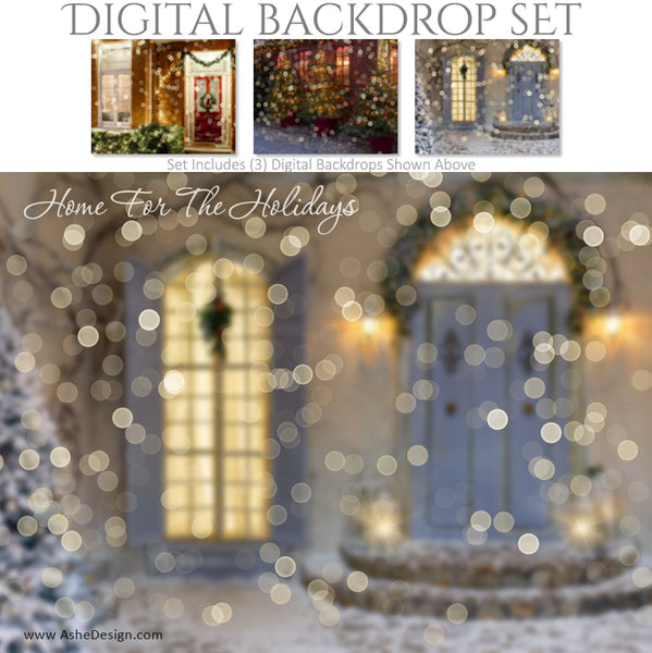Ashe Design 16x20 Digital Backdrop Set - Home For The Holidays BEFORE