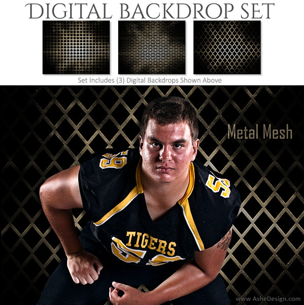 Ashe Design 16x20 Digital Backdrop Set - Metal Mesh AFTER