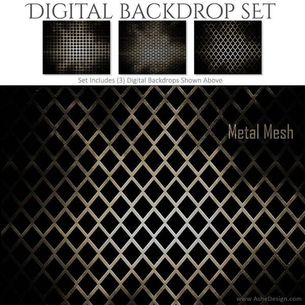 Ashe Design 16x20 Digital Backdrop Set - Metal Mesh BEFORE