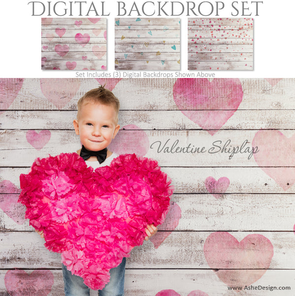 Ashe Design 16x20 Digital Backdrop Set - Valentine Shiplap AFTER