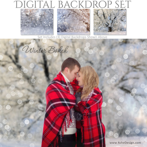 Ashe Design 16x20 Digital Backdrop Set - Winter Bokeh AFTER