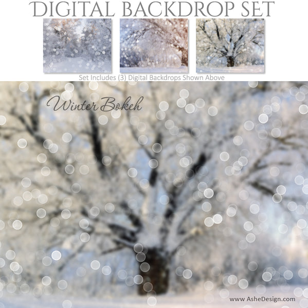Ashe Design 16x20 Digital Backdrop Set - Winter Bokeh BEFORE