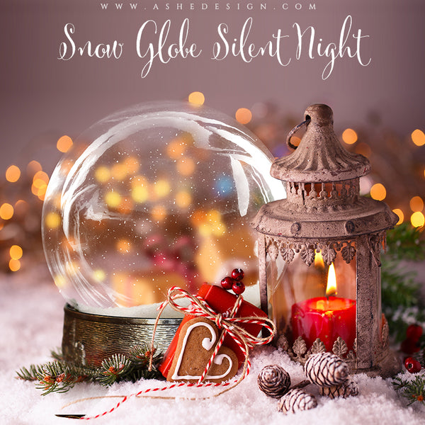 Ashe Design 8x10 Digital Backdrop Set - Snow Globe Silent Night BEFORE