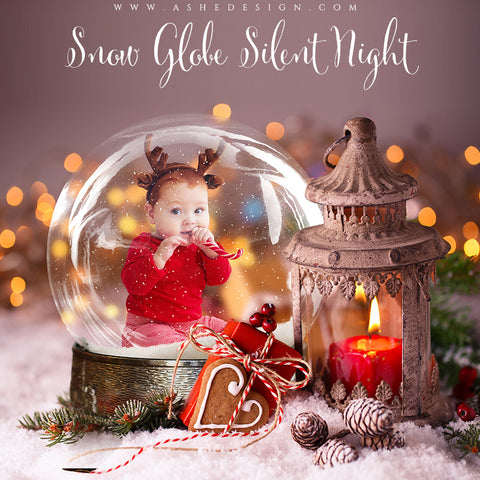 Ashe Design 8x10 Digital Backdrop Set - Snow Globe Silent Night AFTER