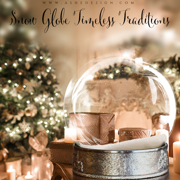 Ashe Design 8x10 Digital Backdrop Set - Snow Globe Timeless Traditions BEFORE