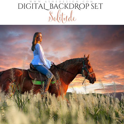 Digital Props 16x20 Backdrop Set - Solitude
