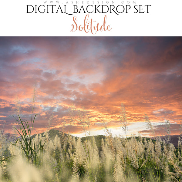 Digital Props 16x20 Backdrop Set - Solitude