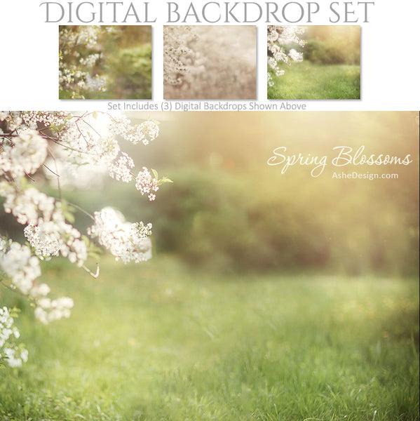 Digital Backdrop Set - Spring Blossoms