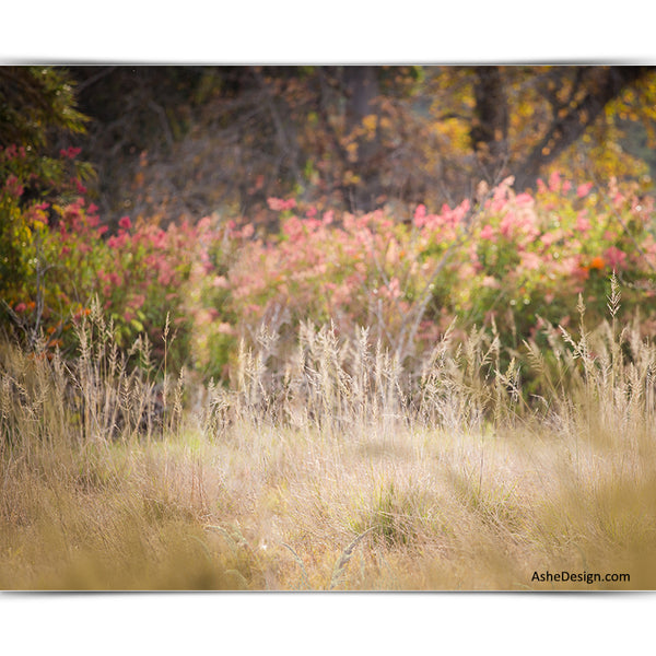 Digital Props 16x20 Backdrop Set - Spring Meadow