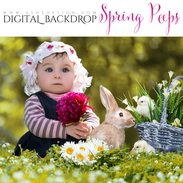 Digital Props 16x20 Backdrop Set - Spring Peeps