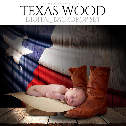 Digital Props - 16x20 Backdrops - Texas State Flags - Wood