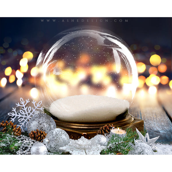 Digital Props 8x10 Backdrop Set - Twinkling Snow Globe