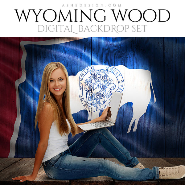 Ashe Design Digital Backdrop State Flag - Wyoming