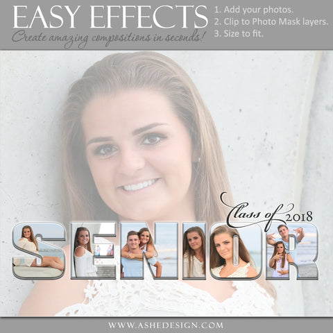 Ashe Design 16x20 Easy Effects - Senior Collage