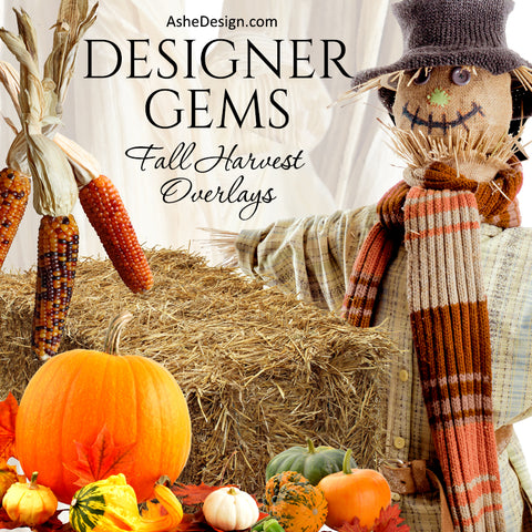 Ashe Design Designer Gems - Fall Harvest Overlays