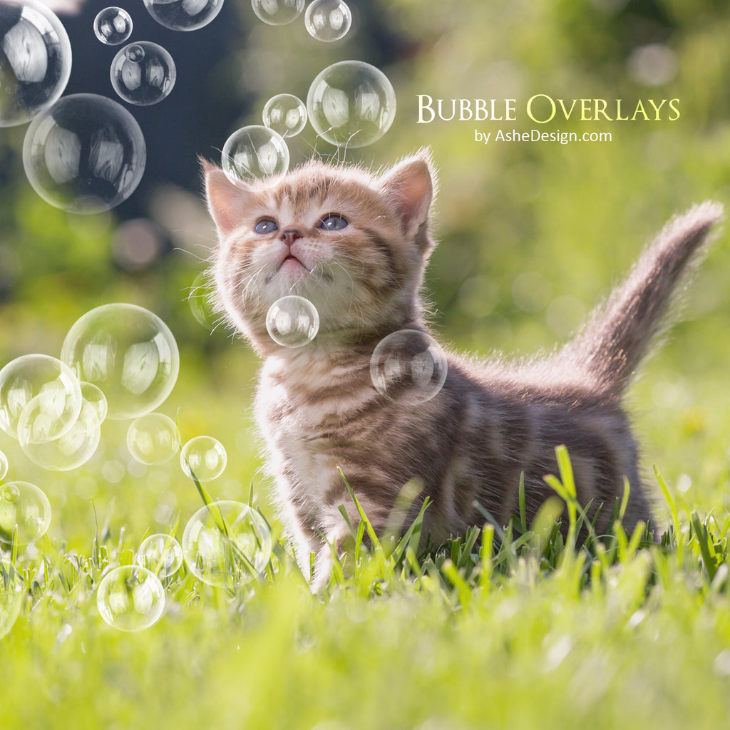 PNG Overlays Bubbles AsheDesign Png overlays bubbles ashedesign