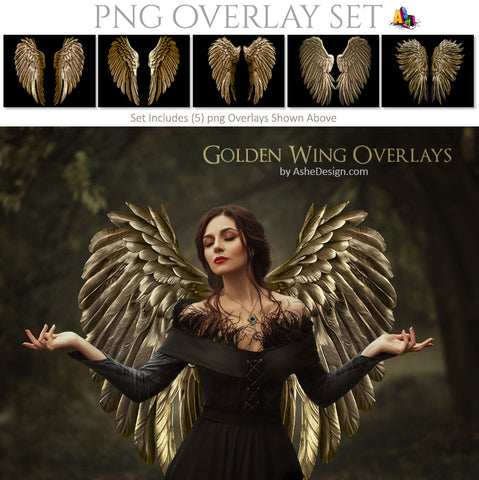 PNG Overlays - Golden Wings