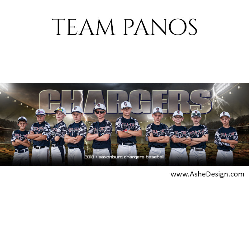 Ashe Design 30x10 Team Pano - Breaking Ground - Baseball