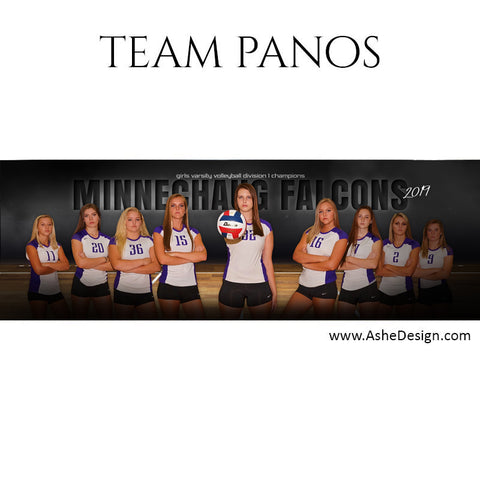 Ashe Design 30x10 Team Pano In The Shadows Volleyball