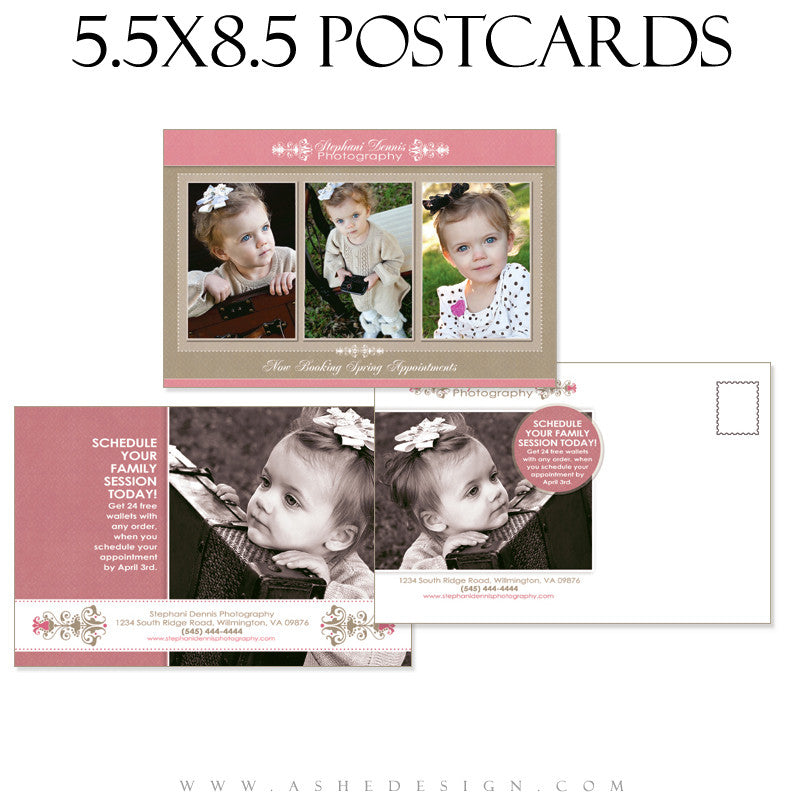 Marketing Post Card 5.5x8.5 - Raspberry Cream