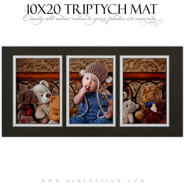Ashe Design | Photoshop Action | 10x20 Triptych Mat1